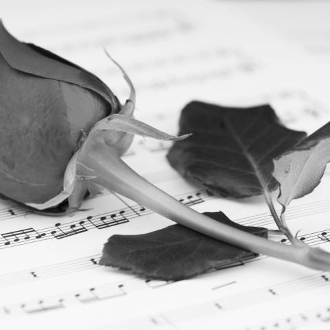 Rose und Notenblatt