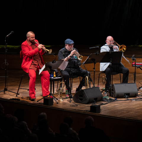 Gansch und andere Instrumentalisten