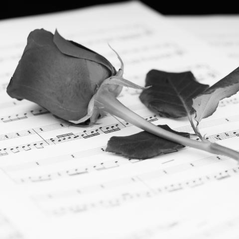 Rose und Notenblatt