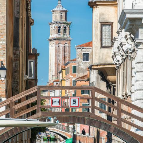 Biennale and Art Fairs